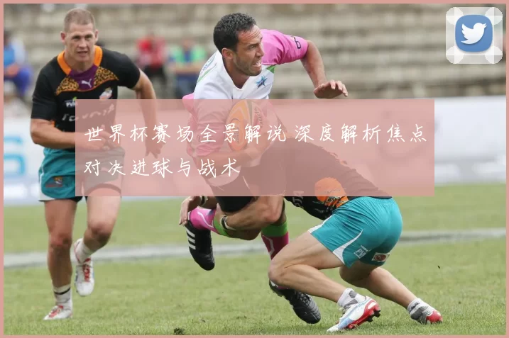 世界杯赛场全景解说 深度解析焦点对决进球与战术