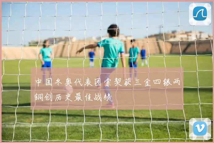 中国冬奥代表团索契获三金四银两铜创历史最佳战绩