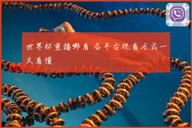 世界杯重播哪看 各平台观看方式一文看懂