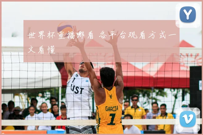 世界杯重播哪看 各平台观看方式一文看懂